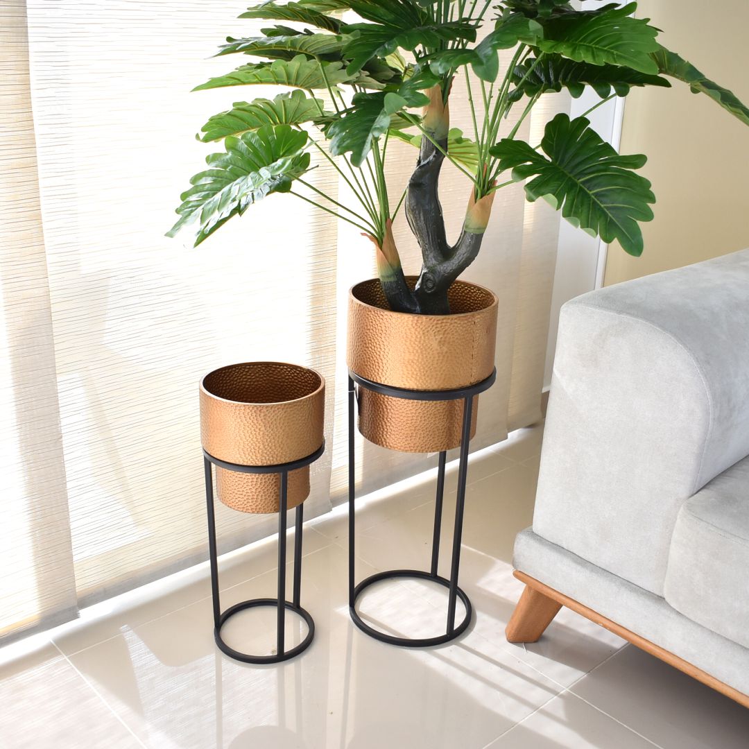 Maceta x2 G 61x25 P 48x20 cms - Ref. SD316
