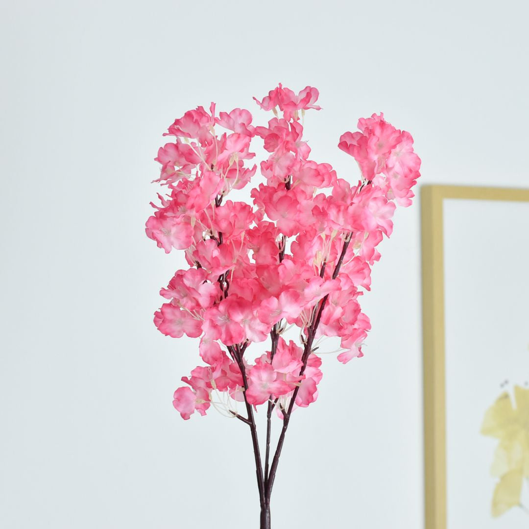 Ramo x5 55 cms