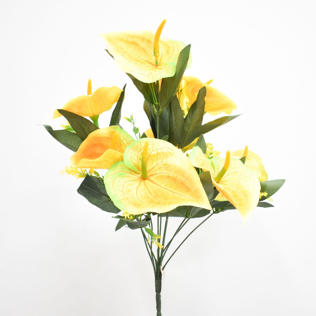 Ramo 50 cms