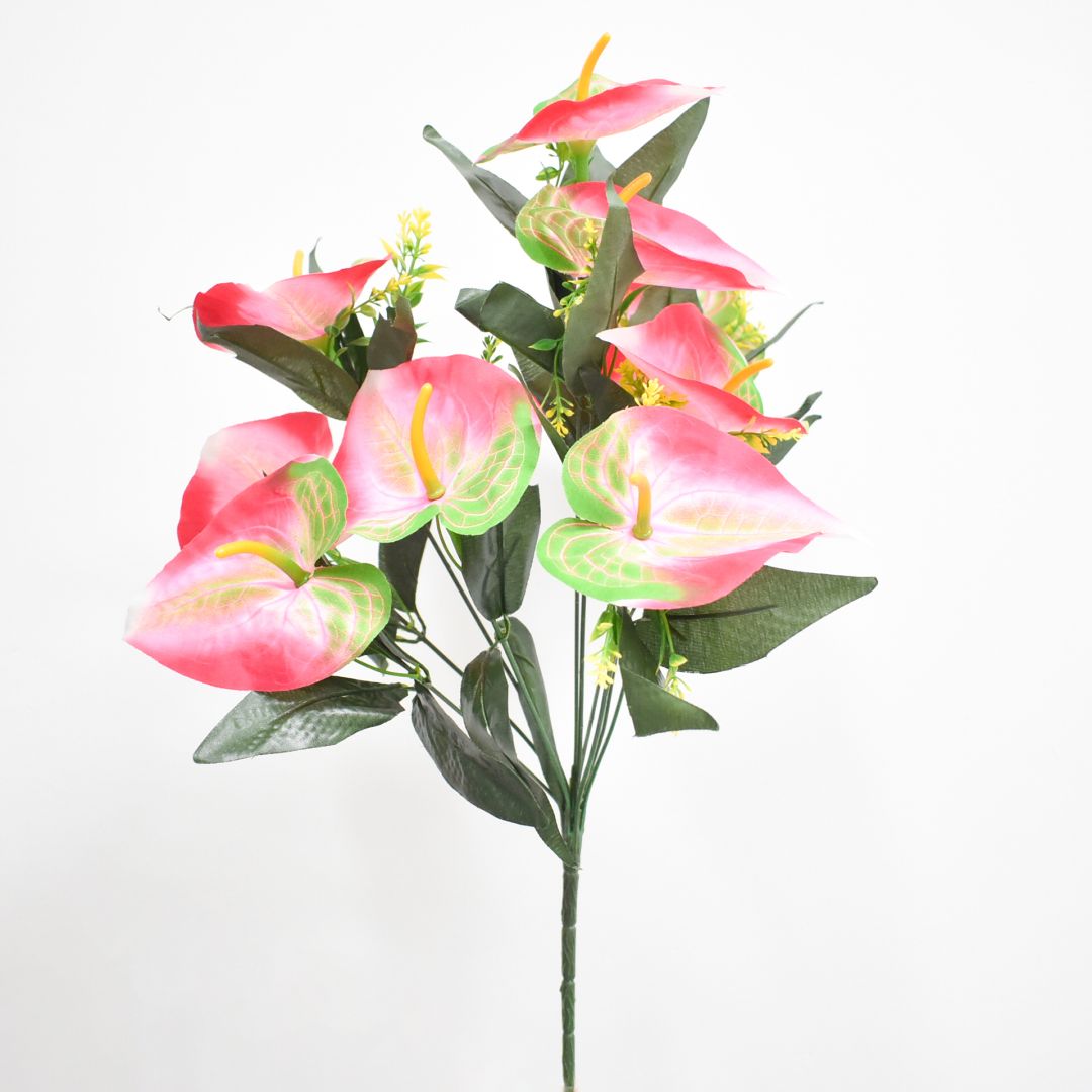 Ramo 50 cms